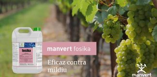 El producto de manvert que actúa como barrera frente a mildiu en vid