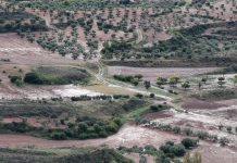 ¿Cómo están afectando las borrascas a los diversos cultivos de Castilla-La Mancha? inundaciones
