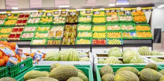 ¿Por qué cuesta un melón hasta 13 euros en junio de 2022? melones