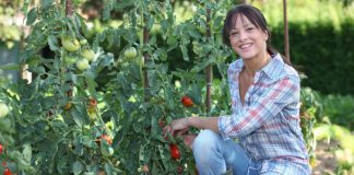 MAPA convoca X Premios de Excelencia a Innovación para Mujeres Rurales