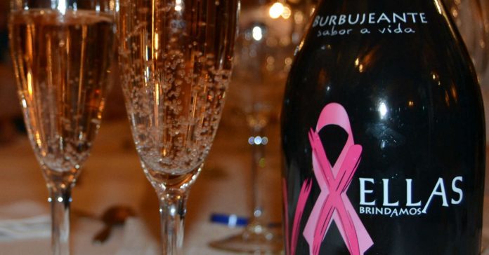 viña xétar el progreso