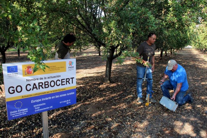 2.- Parcela de ensayos en Almendro-1