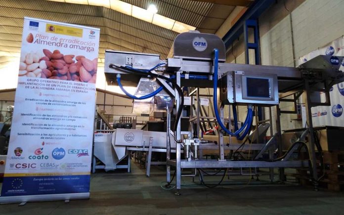 ALMENDRA-AMARGA-EN-LA-LINEA-DE-PRODUCCION-1080x675