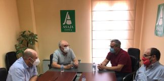 Buscan minimizar al máximo los riesgos del COVID-19 entre los temporeros de la próxima vendimia