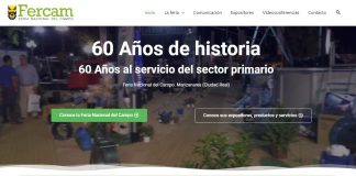 Fercam ofrece sus videoconferencias de forma virtual