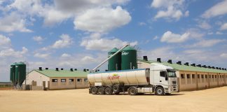 El modelo de ICPOR atrae a 15 nuevos ganaderos de porcino