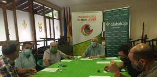 Arranca campaña con precios razonables en melón y bajos en sandía