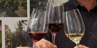 9 de cada 10 consumidores de vino en España lo toman en bares y restaurantes brindis