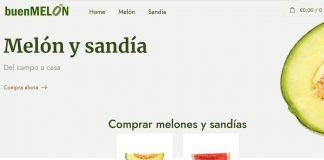 buenmelon.com lleva melones y sandías de La Mancha a los hogares
