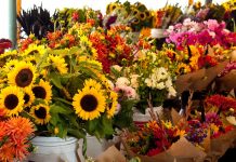 UPA anima a comprar flores nacionales en Todos los Santos para sostener el medio rural flores