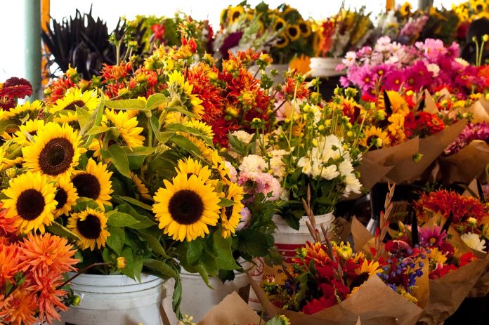 flores