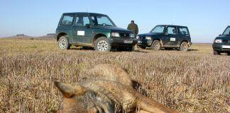 Presentan informe sobre el impacto del envenenamiento de fauna en España