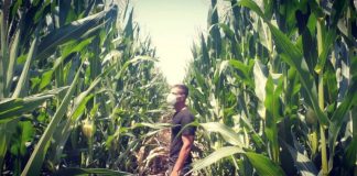 Solicitan que trabajos a la intemperie en el campo estén exentos del uso de mascarilla