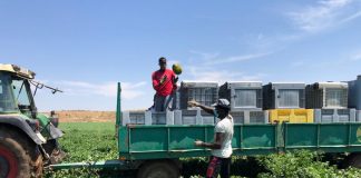 Lamenta inspecciones de trabajo con un despliegue “desproporcionado” melón