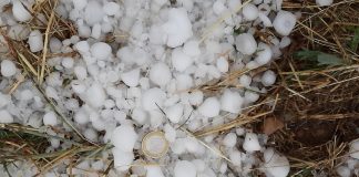 El pedrisco se ceba de nuevo en La Alcarria, en Guadalajara