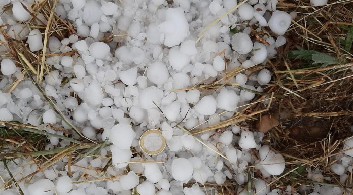 Los pedriscos de este agosto causan daños en 22.300 hectáreas de cultivos asegurados pedrisco