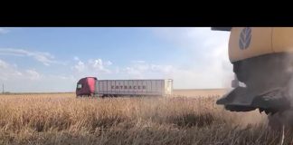 VÍDEO: Comienzan a segar la adormidera