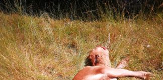 Denuncian nuevo ataque al ganado en la Sierra Norte de Guadalajara