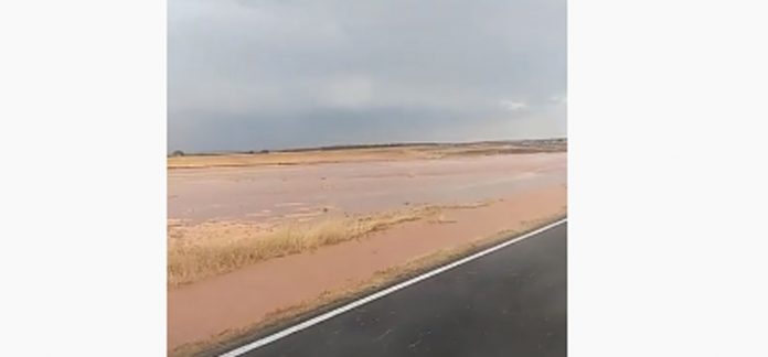 tormenta campo montiel video