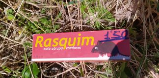 Localiza varias trampas de caza de aves fringílidas en Ciudad Real