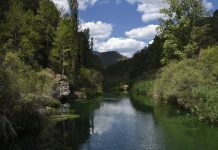 El Gobierno de Castilla-La Mancha inicia la vía judicial ante la inacción del Ministerio en el cumplimiento de caudales ecológicos