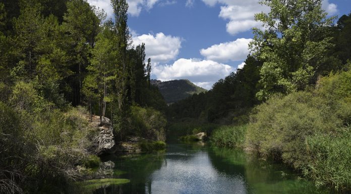 El Gobierno de Castilla-La Mancha inicia la vía judicial ante la inacción del Ministerio en el cumplimiento de caudales ecológicos