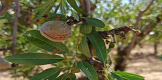 Estima en 10 millones indemnizaciones por tormentas en Albacete y Ciudad Real