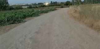 PSOE de pueblo ciudadrealeño pide un plan de arreglo de caminos