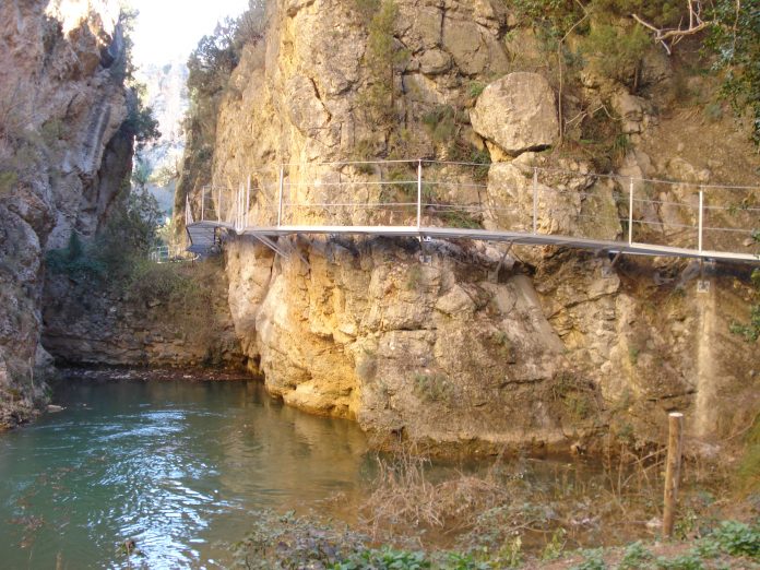 CN de Guadalaviar (a)_tcm30-267402