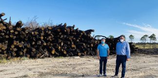 Alertan sobre aparición plagas en terrenos afectados por incendio de Barchín