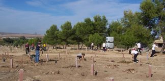 Diputación de Toledo saca a licitación el arrendamiento agrícola y aprovechamiento cinegético de la finca Portusa
