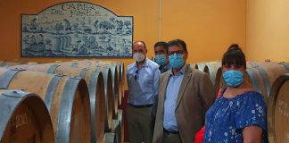 Apuesta por fomento del enoturismo y oleoturismo en provincia de Toledo