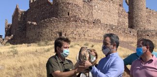 Castilla-La Mancha actualiza planes de recuperación y conservación de sus especies protegidas