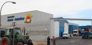 Los socios de una gran cooperativa manchega, satisfechos con los precios de liquidación de la uva cooperativa santa catalina