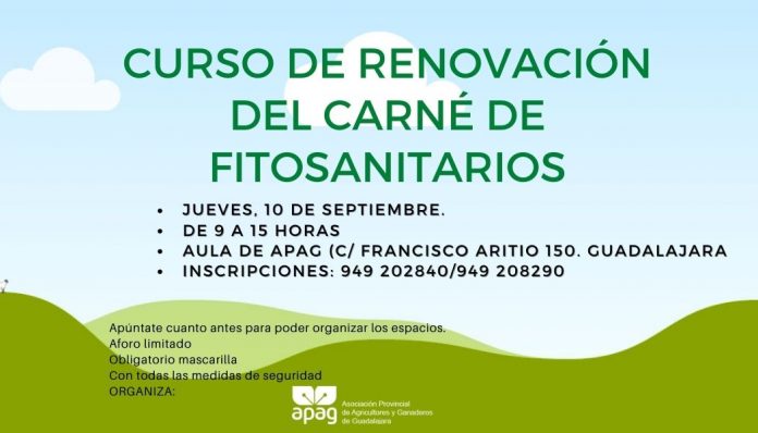 curso fito