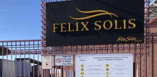 Bodegas Félix Solís pone los primeros precios de la uva de la presente vendimia
