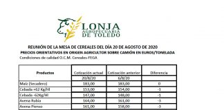 Lonja Agropecuaria de Toledo. Cereales. 20-agosto-2020
