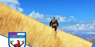 Media veda en CLM permitirá cazar, por primera vez, paloma bravía