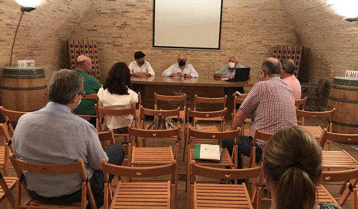 sectorial vino asaja clm