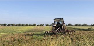 Dudas sobre el Real Decreto que obliga a cotizar como autónomo a todo el que tenga ingresos por su explotación agraria tractor