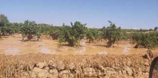 Las tormentas dejaron en municipios de Cuenca hasta 80 litros