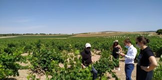 DOP Jumilla, en una prestigiosa publicación internacional