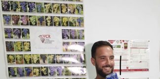 PP de Socuéllamos exige la exención fiscal del IBI rústico