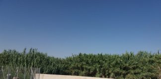 CHS realizará mantenimiento en los cauces de la cuenca en Albacete