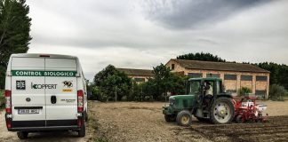 Koppert recomienda Ceres-Mix para impulsar la emergencia de la planta