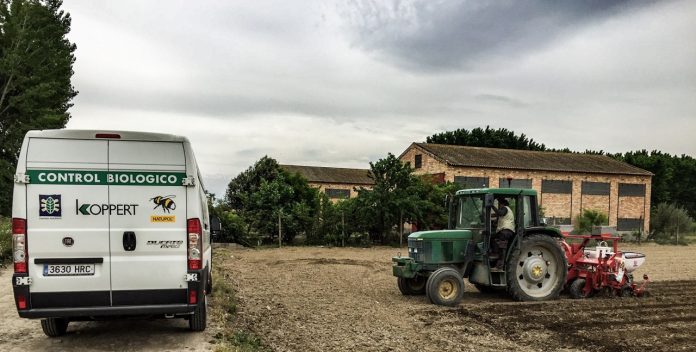 SIEMBRA_CEREAL_CERESMIX