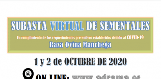 AGRAMA celebra III Subasta Virtual de Sementales de raza Ovina Manchega