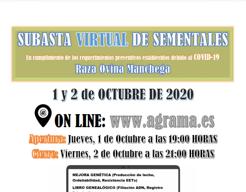 AGRAMA celebra III Subasta Virtual de Sementales de raza Ovina Manchega