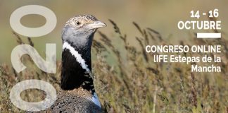 Congreso “Conservación de aves esteparias y Agricultura Sostenible”, en octubre