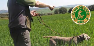 Publicada la nueva orden de veda de caza para la temporada 2021/2022